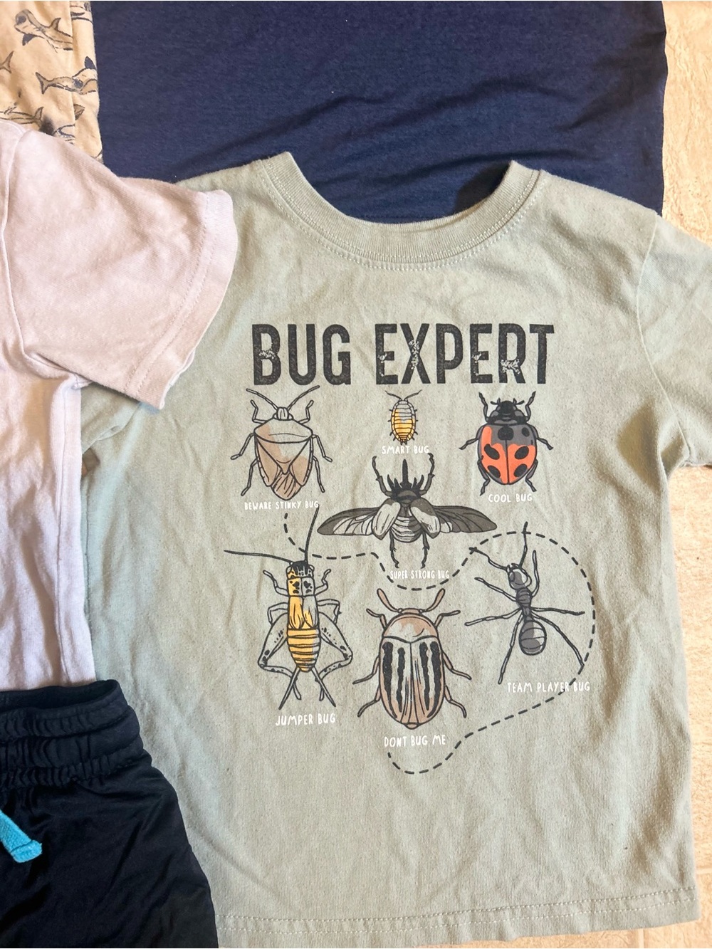 Toddler Boy 3T Clothing Bundle Tshirts and Shorts Outfit Set - Picture 3 of 9